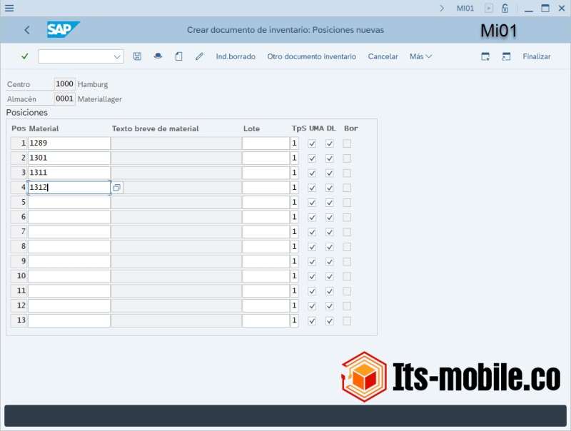 Captura de pantalla SAP MI01 - Creación de documento de inventario, posiciones.