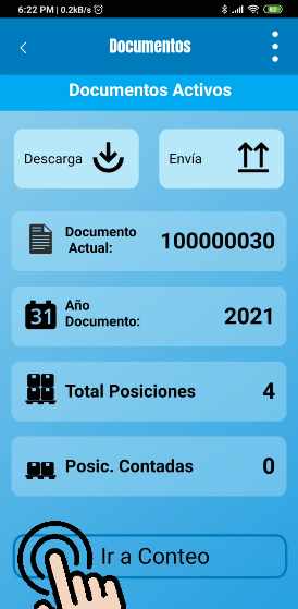 Resumen del documento de inventario en la aplicación móvil.